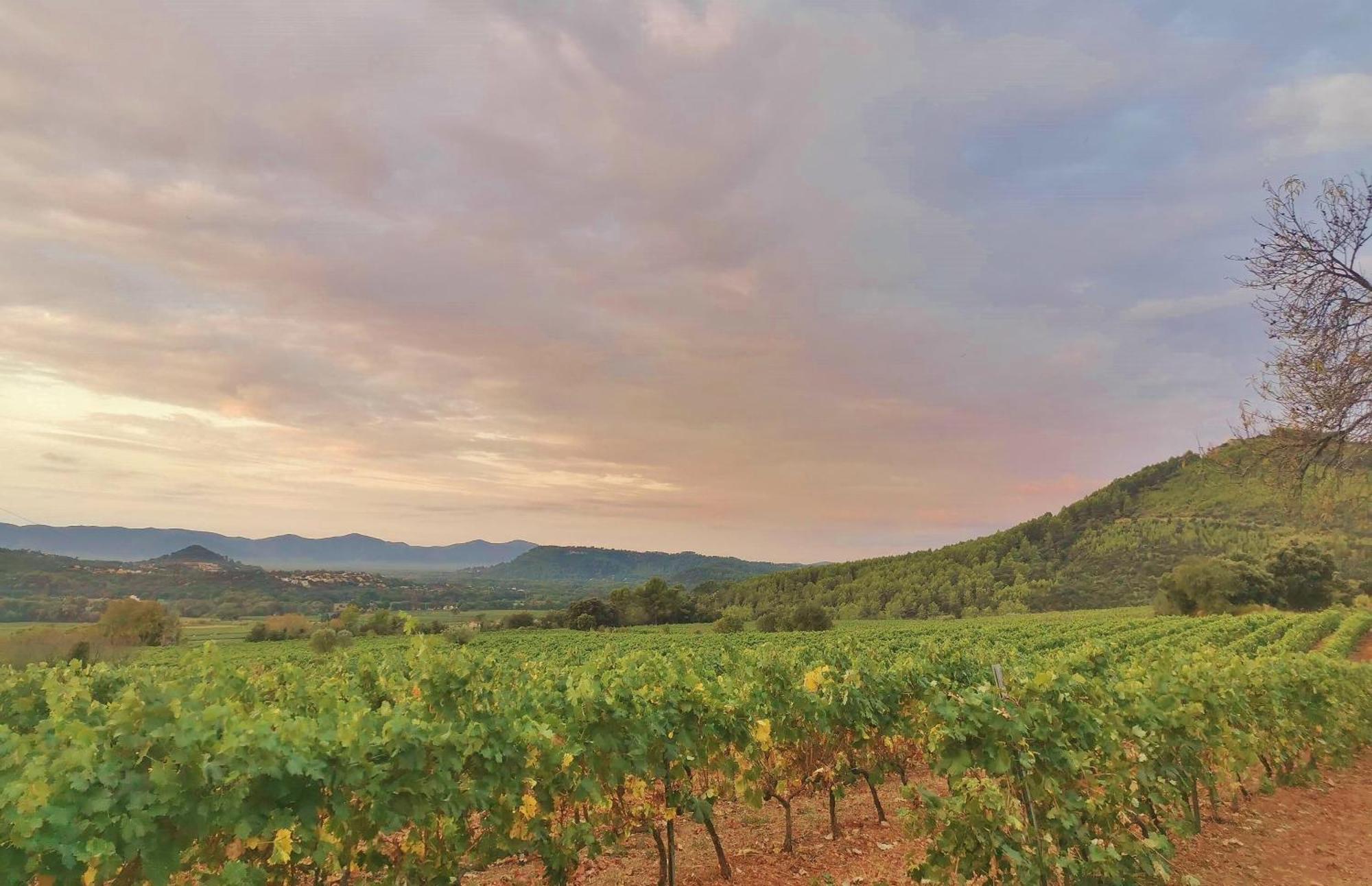 Le Nid En Chante Vue Panoramique Les Arcs-sur-Argens Exteriör bild